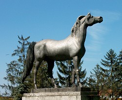 'A leghűségesebb bajtársnak' c. (ló) szobor